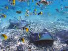 Nov� Z�land - pobytovo - pozn�vac� z�jazd - Nov� Z�land, Tahiti, Moorea (Relax)