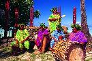 Nov� Z�land - pobytovo - pozn�vac� z�jazd - Nov� Z�land, Tahiti, Moorea (Relax)