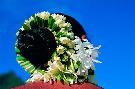 Nov� Z�land - pobytovo - pozn�vac� z�jazd - Nov� Z�land, Tahiti, Moorea (Relax)