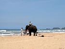 Sri Lanka - pozn�vac� z�jazd - Sri Lanka (Komfort)
