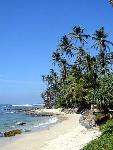 Sri Lanka - pozn�vac� z�jazd - Sr� Lanka, Maledivy (Relax)