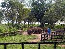 Sri Lanka - pozn�vac� z�jazd - Sr� Lanka, Maledivy (Relax)