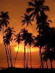 Sri Lanka - pozn�vac� z�jazd - Sr� Lanka, Maledivy (Relax)