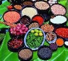 Sri Lanka - pozn�vac� z�jazd - Sr� Lanka, Maledivy (Relax)