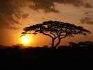 Maur�cius - pobytovo - pozn�vac� z�jazd - Juhoafrick� republika, Maur�cius (Relax)