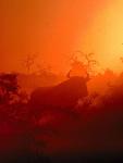 Maur�cius - pobytovo - pozn�vac� z�jazd - Juhoafrick� republika, Maur�cius (Relax)