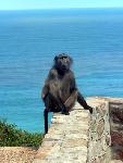 Maur�cius - pobytovo - pozn�vac� z�jazd - Juhoafrick� republika, Maur�cius (Relax)