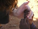 Ju�n� Afrika - pozn�vac� z�jazd - Juhoafrick� republika, Nam�bia, Botswana, Zimbabwe, Zambia (Komfort)
