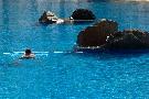 �panielsko - Kan�rske ostrovy - Gran Canaria - Paradise Valle Taurito ****