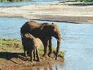 Ke�a - pozn�vac� z�jazd - Ke�a - Tanz�nia - Zanzibar (1)