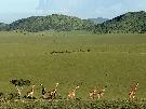 Ke�a - pozn�vac� z�jazd - Ke�a - Tanz�nia - Zanzibar (1)