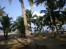 India - pozn�vac� z�jazd - ��avnat� Kerala s Dorotou Nvotovou