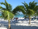 Dominik�nska r. - Punta Cana - Ifa Villas Bavaro Resort&Spa ****