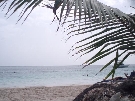 Dominik�nska r. - Punta Cana - Ifa Villas Bavaro Resort&Spa ****
