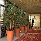 �panielsko - Katal�nsko - costa Brava/Maresme - Malgrat de Mar - Luna Club ****