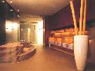 Rak�sko - Kitzb�hel - Hotel SCHWARZER ADLER **** 