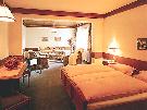 Rak�sko - Saalbach - Hinterglemm - Hotel � Gasthof UNTERWIRT *** 