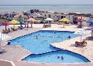 Egypt  Hurghada Nefertiti Sun Flower ***