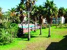 �panielsko - Bale�rske ostrovy - Malorka  - Holiday Garden ***