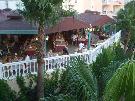 Turecko - Side - Tureck� riviera - Iz Flower ****
