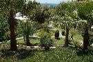 Turecko - Side - Tureck� riviera - Iz Flower ****