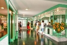 �panielsko - Kan�rske ostrovy - Tenerife - Bellavista ***