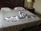 Egypt - Marsa Alam - Iberotel Samaya Resort *****