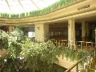 Egypt - Hurghada - Grand Hotel ****