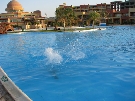 Egypt - Marsa Alam - Solymar Abu Dabab *****