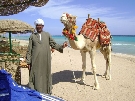 Egypt - Marsa Alam - Gorgonia Beach *****