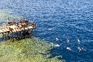 Egypt - Sharm El Sheikh - Grand Hotel Sharm El Sheikh *****