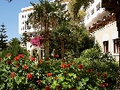 Gr�cko - Kr�ta - Creta Star ****
