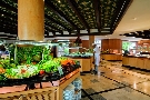 Maroko - Saidia - Riu Tikida Beach ****