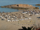 �panielsko - Bale�rske ostrovy - Ibiza - Tarida Beach  ****