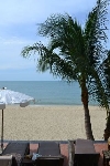 Thajsko - Koh Samui - Aloha Resort ***+
