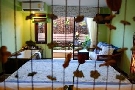 Thajsko - Krabi  - Phra Nang Inn ***
