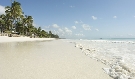 Tanz�nia  - Zanzibar - V�chodn� pobre�ie - Blue Bay Beach Resort *****
