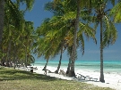 Tanz�nia  - Zanzibar - V�chodn� pobre�ie - Karafuu ****
