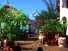 Tanz�nia  - Zanzibar - Severn� pobre�ie - Langi Langi Beach ***