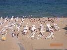 Bulharsko - Slne�n� pobre�ie - Grand Hotel Sunny Beach ****