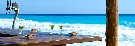 Gr�cko - Kr�ta - Golden Sand ****+