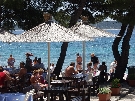 Chorv�tsko - Dalm�cia - Vodice - Depandance  Flora Madera ***