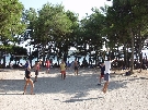 Chorv�tsko - Dalm�cia - Vodice - Depandance  Flora Madera ***