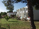 Chorv�tsko - Dalm�cia - Vodice - Depandance  Flora Madera ***