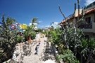 Gr�cko - Kr�ta - Cactus Beach ****