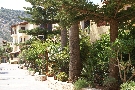 Gr�cko - Kr�ta - Cactus Beach ****