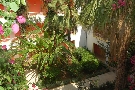 Tunisko - Mahdia - Caribbean World Mahdia ****