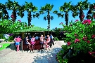 Turecko  Side - Tureck riviera Nerton ****
