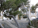 �panielsko - Bale�rske ostrovy - Malorka  - Viva Cala Mesquida Resort ****