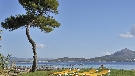 �panielsko - Bale�rske ostrovy - Malorka  - Iberostar Alcudia Park ****